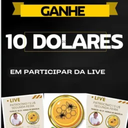 💶Lançamento MEL COIN 🪙