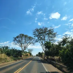 GAMBIRA MINEIROS-GO