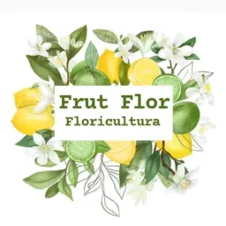 FRUT FLOR (Floricultura)🪴