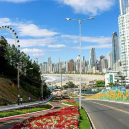 🌴Vendas trocas e serviços Bc/região🌴