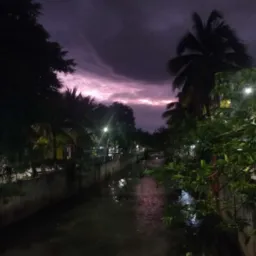 Jacaré de todos
