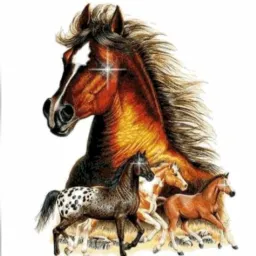 CATIRA DE CAVALOS, PRODUTOS AGRÍCOLAS LAVRAS E SUL DE MINAS GERAIS🌿🧲