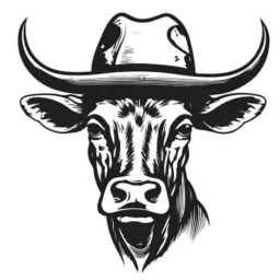 Desapego dos Bão Uberaba🛒📦🐂