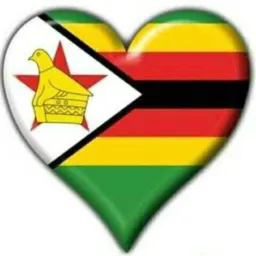 DAILY ZIMNEWS