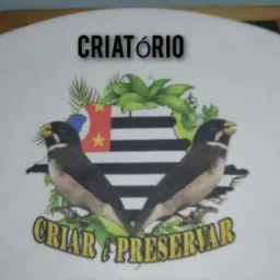 Vendas e rolos