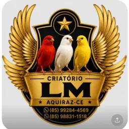 🎋🐧 criatório_LM 🐤 🎋
