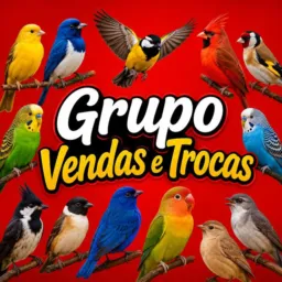Grupo vendas e trocas