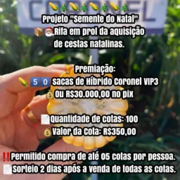 🌽🎅🏽🎄RIFA 50 SACOS DE CORONEL ou R$30.000,00 no pix