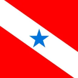 Notícias Do Pará  1