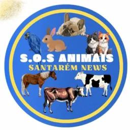 S O S Animais Santarém News