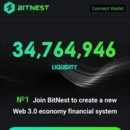 Bitnest recepção