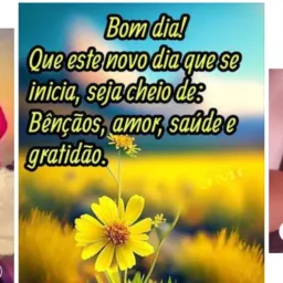 Dom Eliseu chinesa em ação