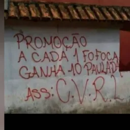Monopole zona norte 🚩