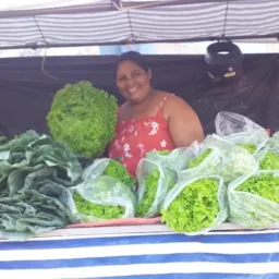 Folhagem e verduras da Márcia ☘️🥦🥰🥬🫑