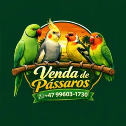 ✅🐥vendas de passarinho exótico 🐥✅