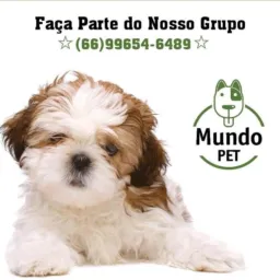 ☆Mundo Pet🐶