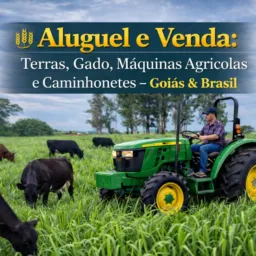Central Autoridade Agro ( aluguel,vendas terras, máquinas agrícolas, camionetes, gado,etc)