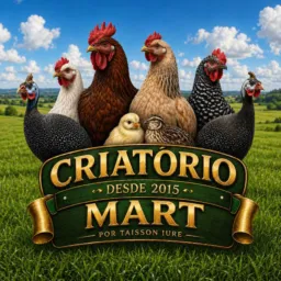 🐣CRIATÓRIO MART🐣