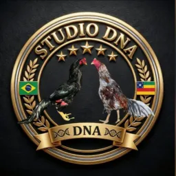 StudioDNA - Preservação do galo Mura!!!