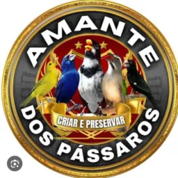 Manejos vendas rolos e negócios