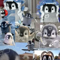 🐧••.divuls dos friends .••🐧
