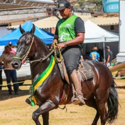 4° RIFA DA CLAUDIA. UM CAVALO MANGALARGA MARCHADOR CASTRADO DE PISTA