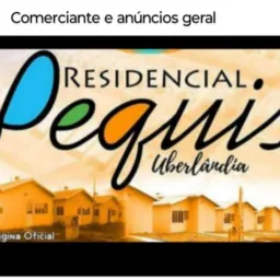 Comerciantes do pequis desde 2016