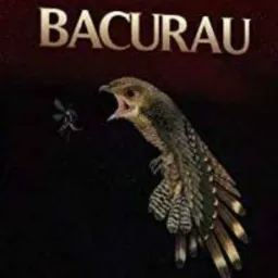 SOU DA TERRA SOU BACURAU