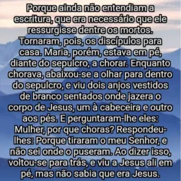 Setor Tocantins Vendas e Compras