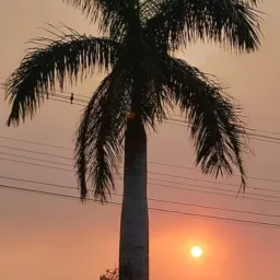 Nova Manaus e adjacências.