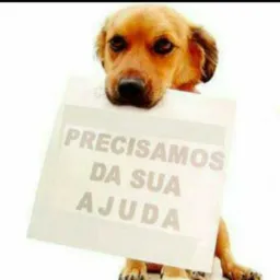 AJUDA DE ANIMAIS DE OUVIDOR OFICIAL.