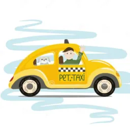 Transporte Pet 🐶🐱🐰🐹🐣