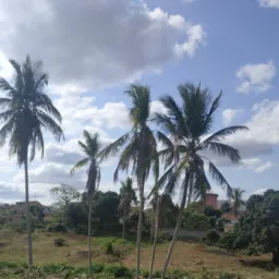 Empregos montanha Es
