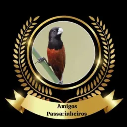 Amigos Passarinheiros 🐦