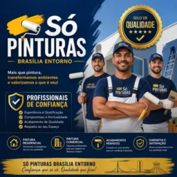 Só Pinturas Brasília e Entorno🏠💲🟦