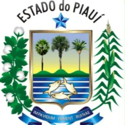 SRN, DOM INOCÊNCIO, SLP, CORONEL J. DIAS, FARTURA