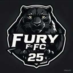 Seletiva da fúria fc