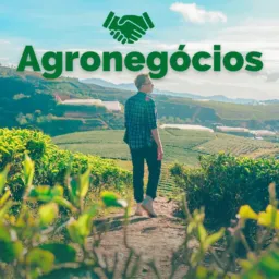 AGRONEGÓCIOS 🌱