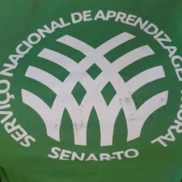 Avicultura de corte senar