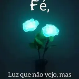 GRUPO AMIGOS DO VALDINEI/ COMERCIANTES DO GRANDE CENTENÁRIO E REGIÃO