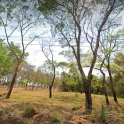 Novo Bosque Noroeste🔥🔥🔥