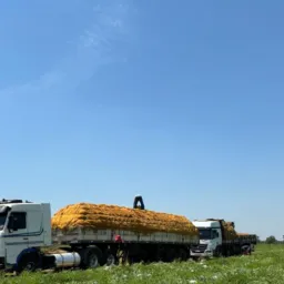 VIP'S (NORTE SUL)🍉🚛