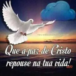 🙏LINKS PAZ & VIDA🙏