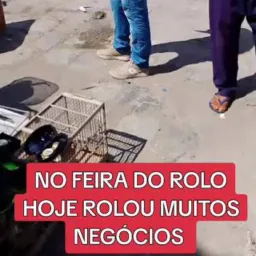 Feira do Rolo de Conquista 🤝👍🏻