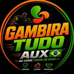 GAMBIRA TUDO AUX🇧🇷...