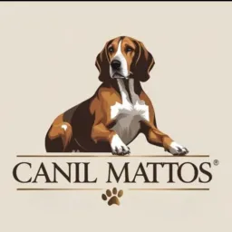 Canil mattos