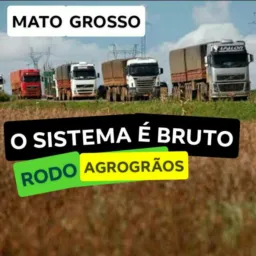 FRETESMTAGROGRÃOS"5"💰🍀🇧🇷7⃣