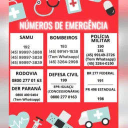 🚨 NOTÍCIAS 🚨