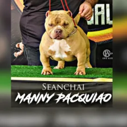 Mundo bully 019 😉