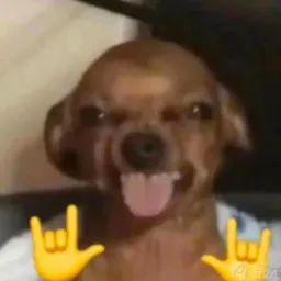 Meu arquivo pessoal de ideias